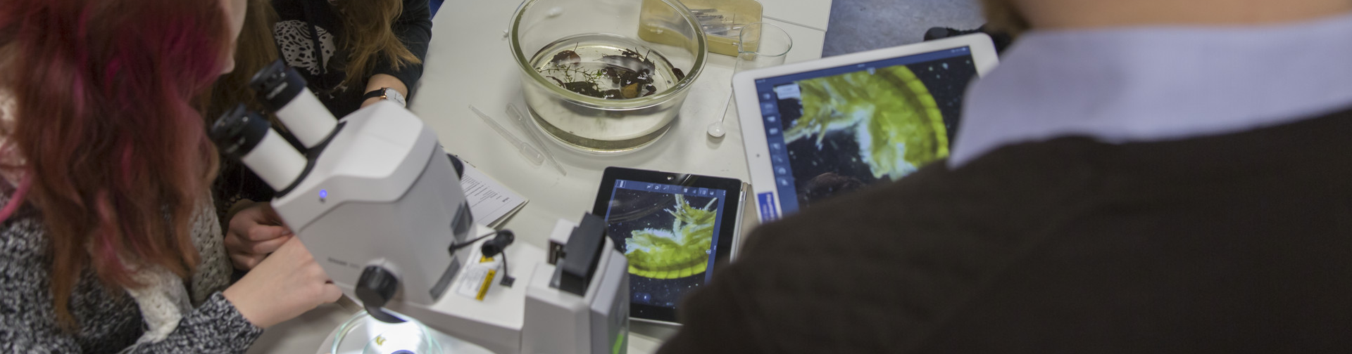 Soluciones de microscopía para aulas digitales